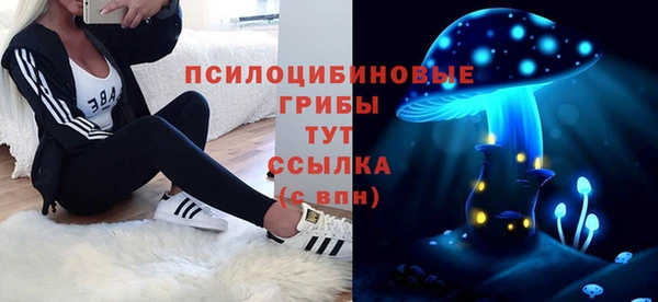 герыч Алексин