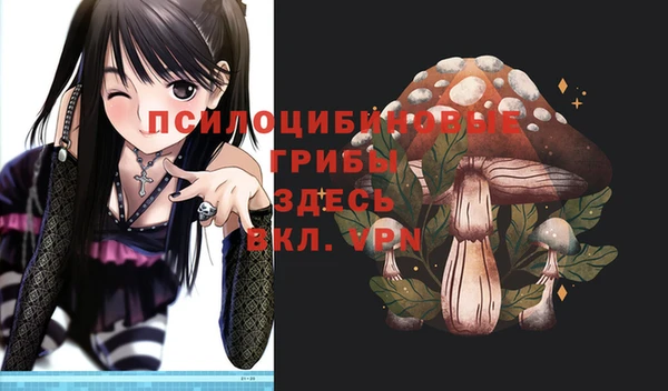 эйфоретик Алзамай