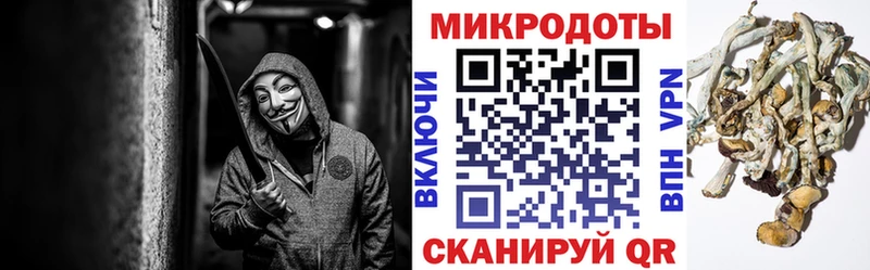 продажа наркотиков  Кочубеевское  Галлюциногенные грибы GOLDEN TEACHER 
